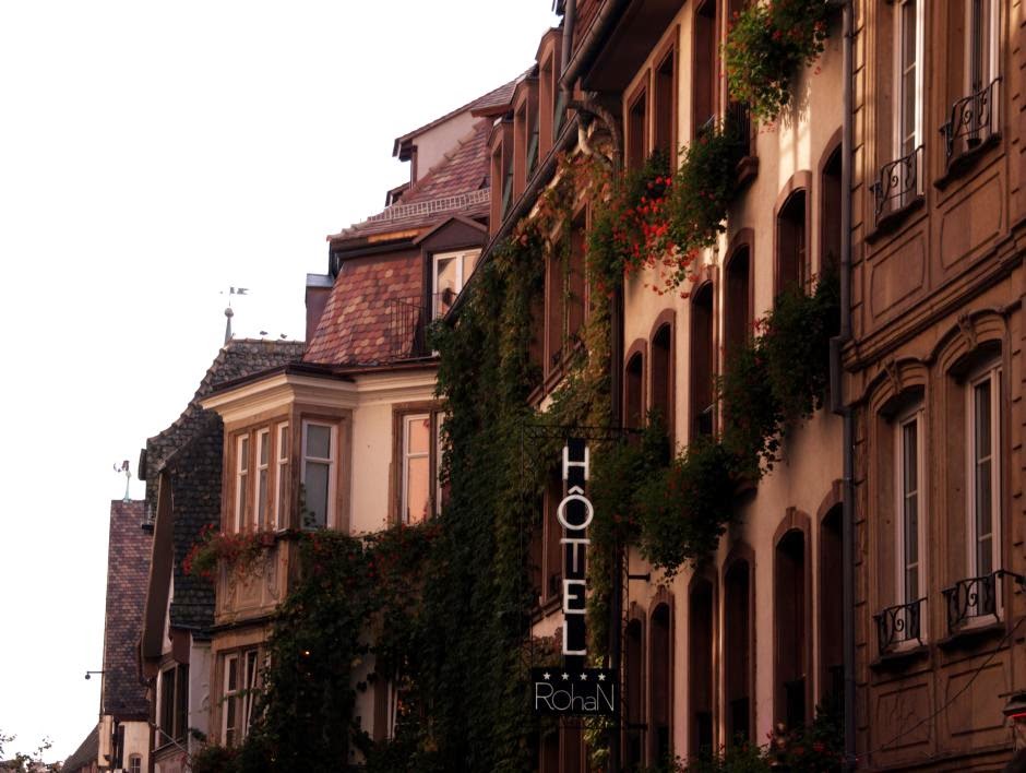 15.ORF