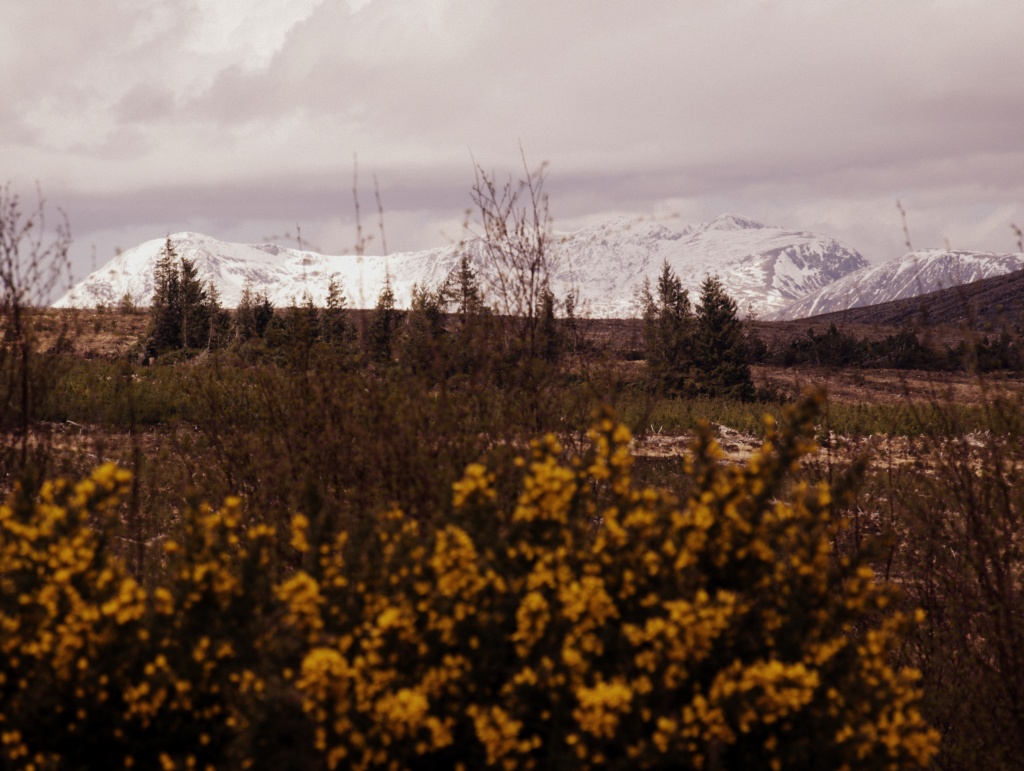 highlands11