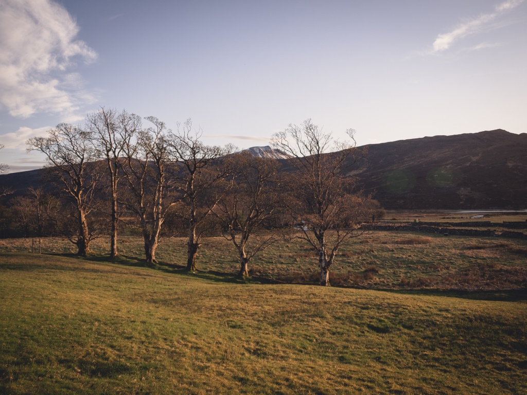 Inchna 6