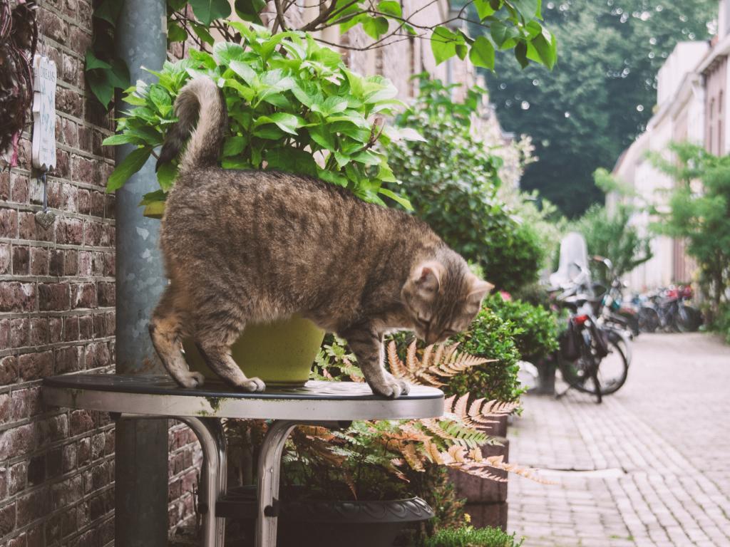 Utrecht