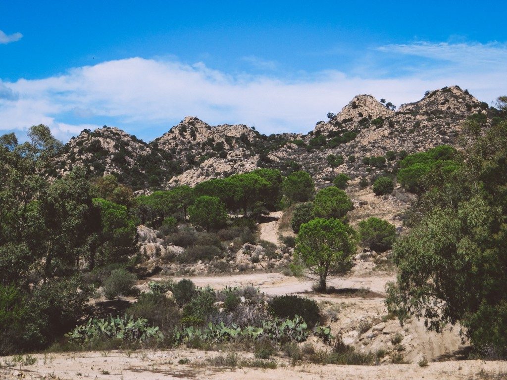 Erfahrungsbericht Sardinien Sehenswürdigkeiten Tipps Oasi di Biderosa