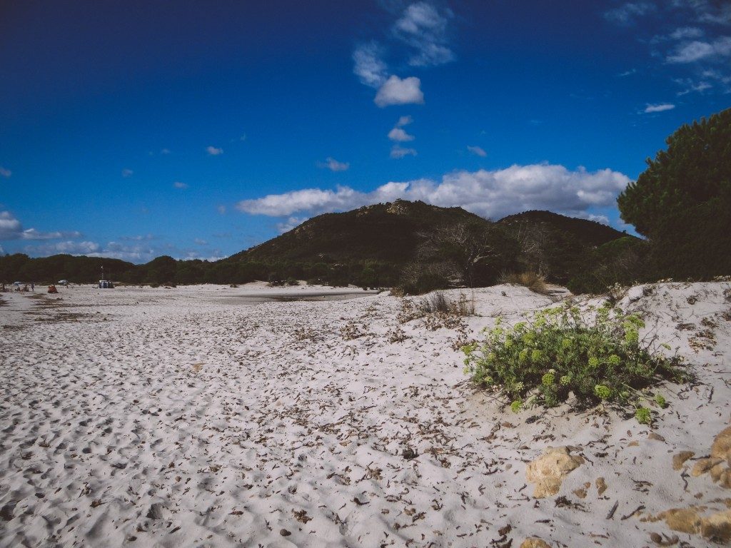 Erfahrungsbericht Sardinien Sehenswürdigkeiten Tipps Oasi di Biderosa