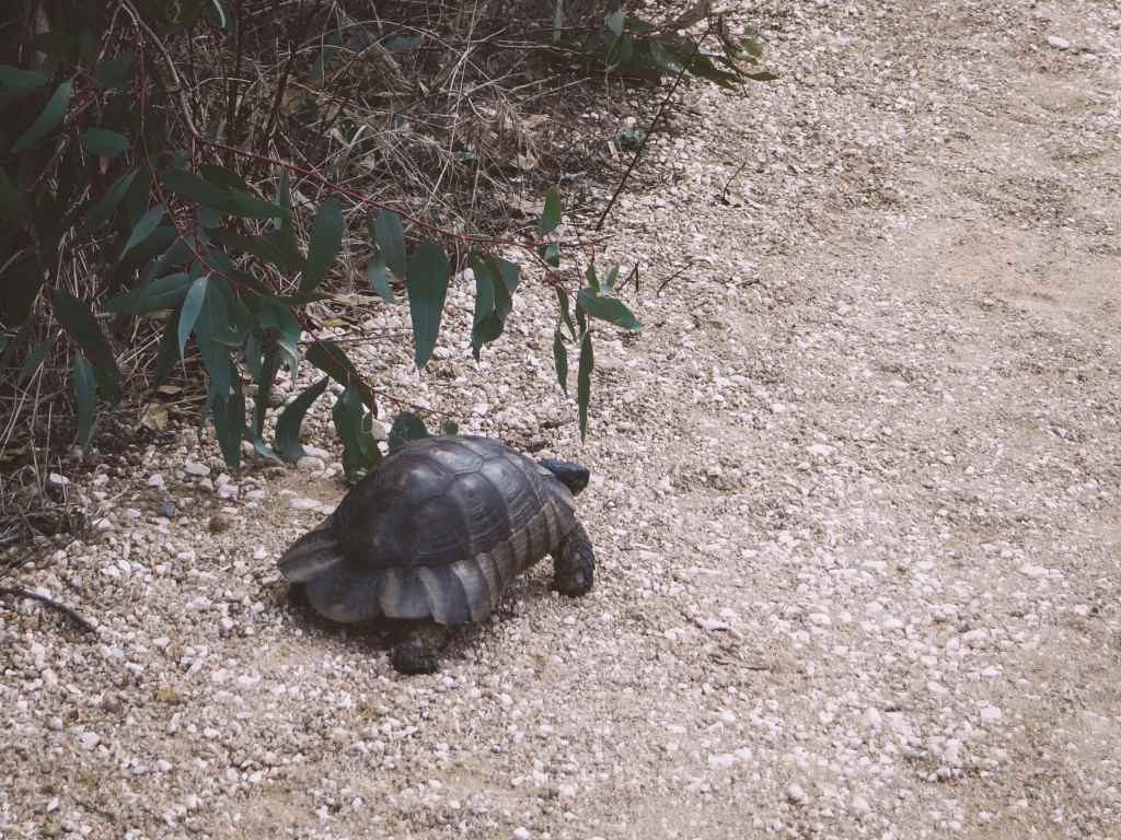 Sardinien Sehenswürdigkeiten Tipps Oasi di Biderosa Erfahrungsbericht