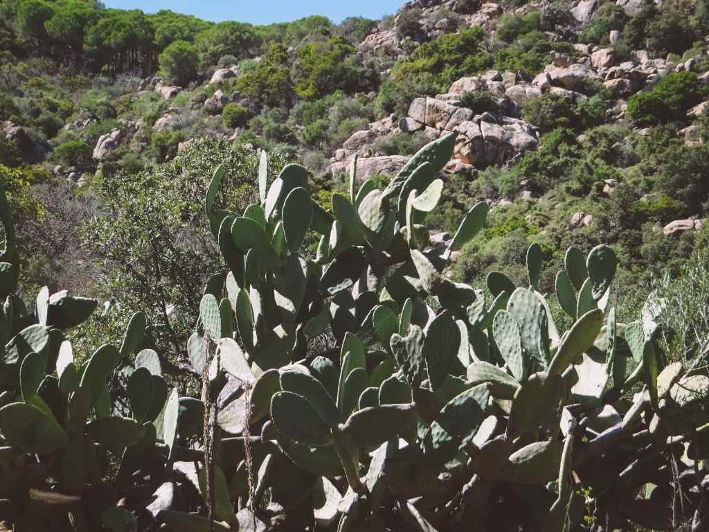 Sardinien Sehenswürdigkeiten Tipps Oasi di Biderosa Erfahrungsbericht