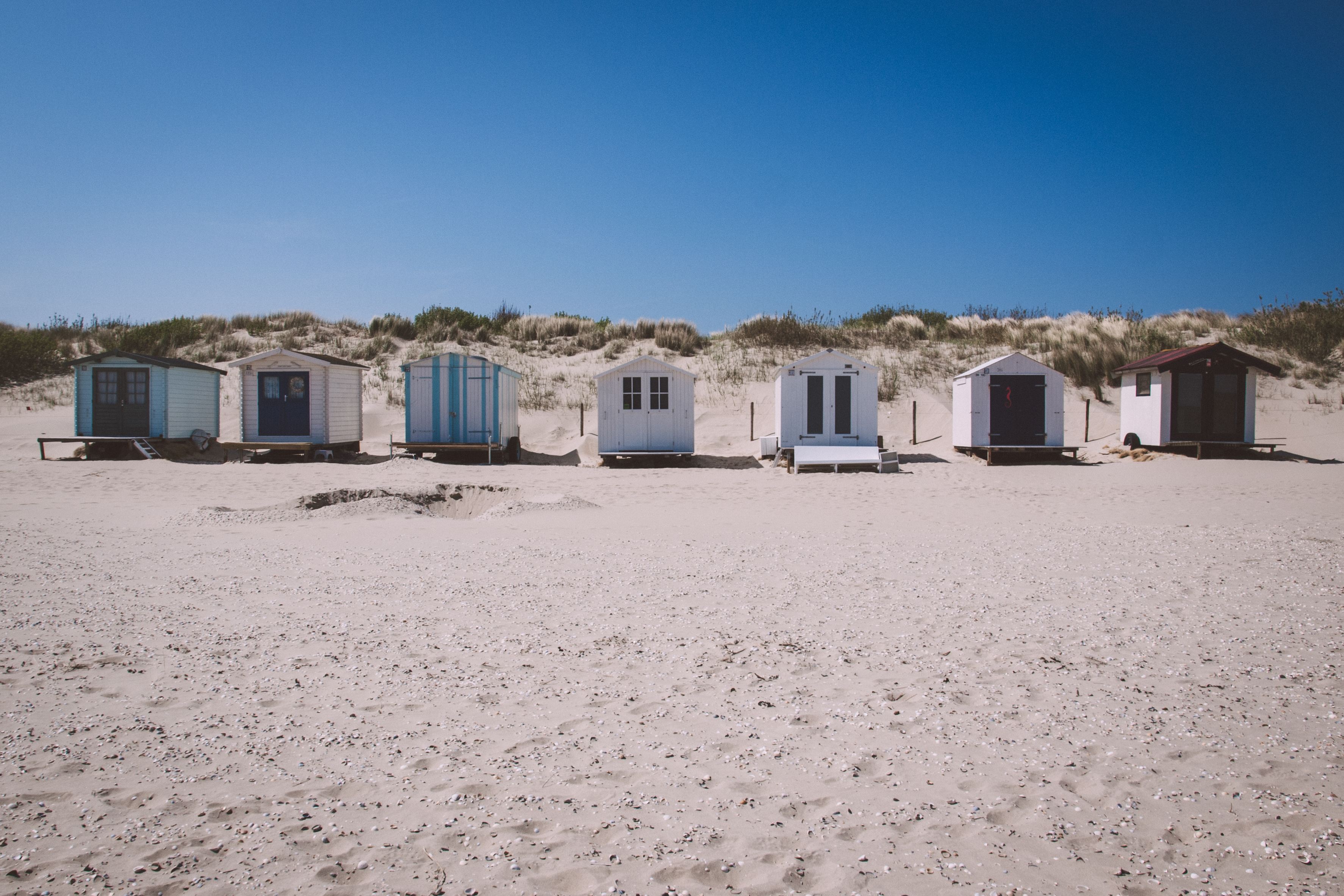 Texel
