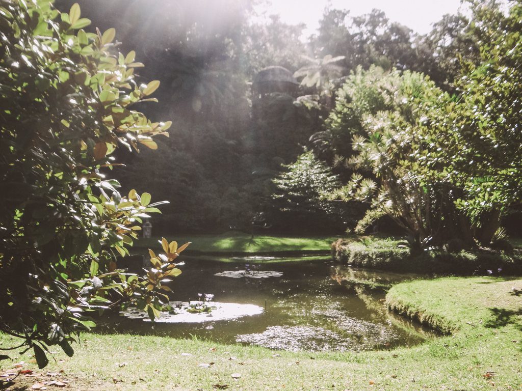 Herrliche Natur im Terra Nostra Park