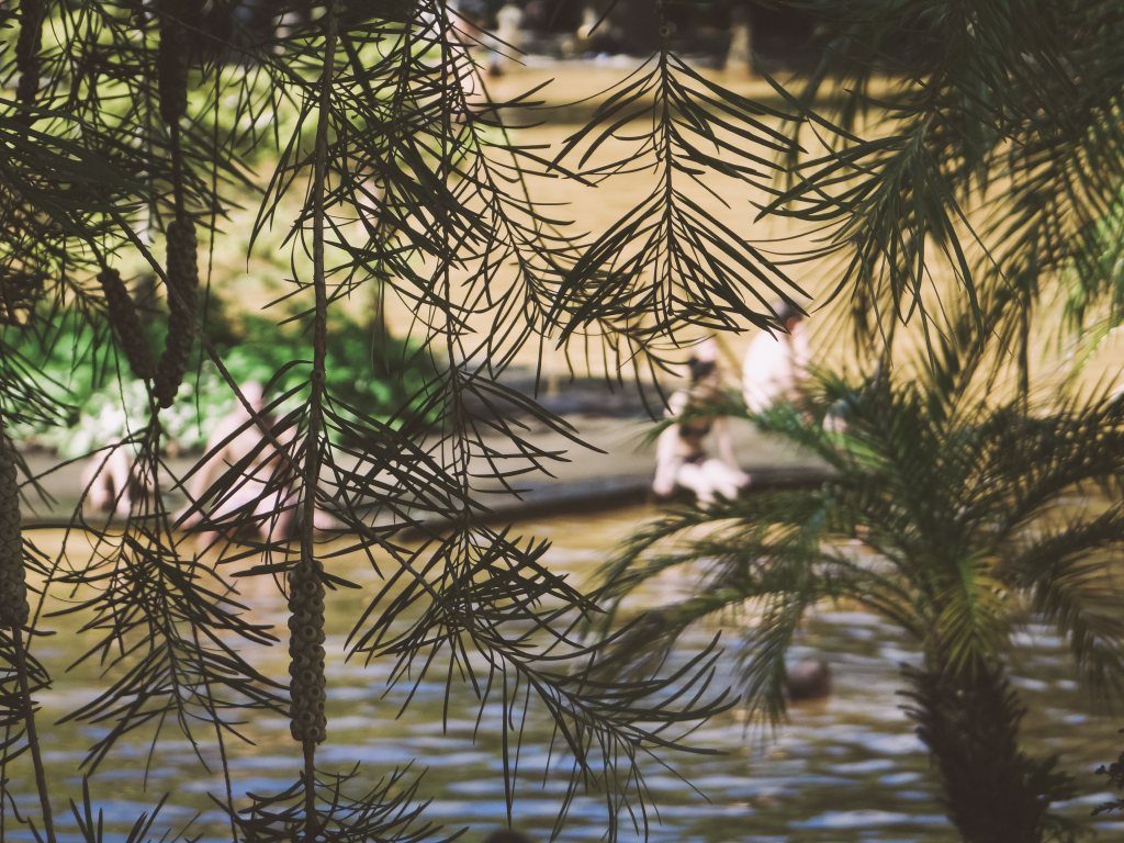 Heiße Quellen im Terra Nostra Park auf der Azoren Insel Sao Miguel