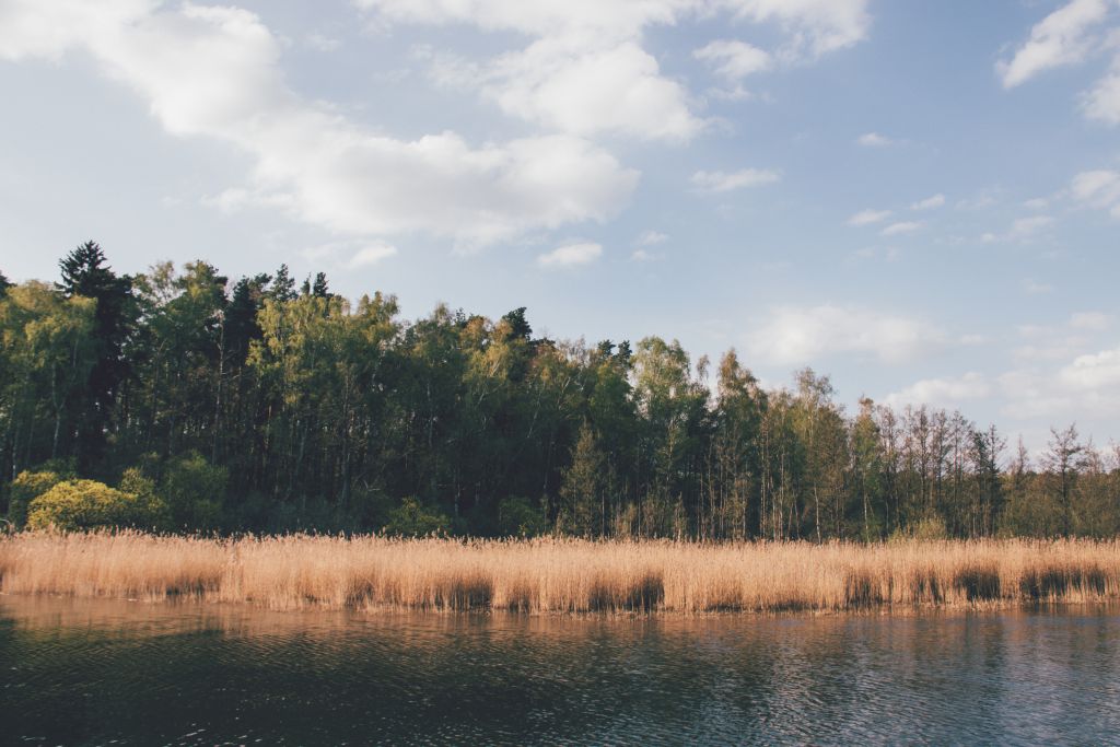 Natur und Ruhe bei einem Hausboot Urlaub auf der Mecklenburgischen Seenplatte - Meine Tipps und Erfahrungen