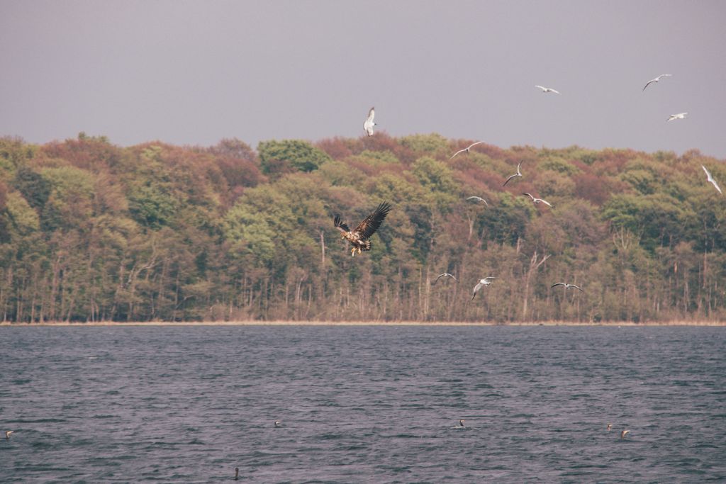 Hausboot Urlaub auf der Mecklenburgischen Seenplatte - Meine Tipps und Erfahrungen