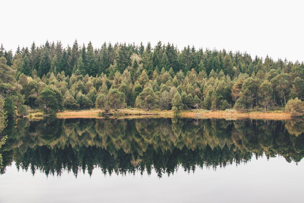 Reflexionen auf dem Blindensee