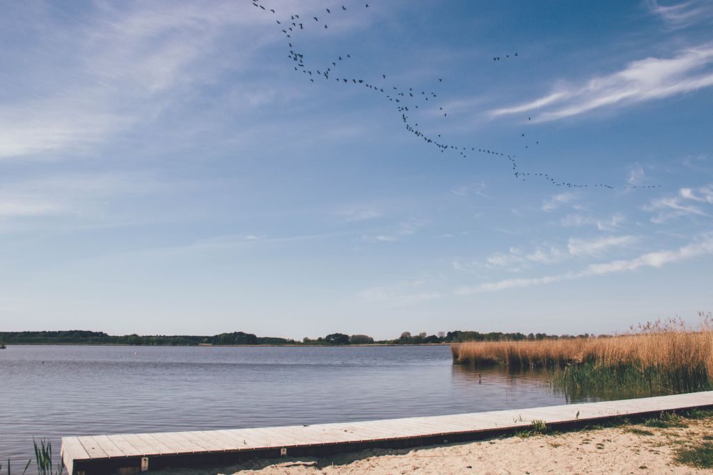 Blick aufs Achterwasser auf Usedom