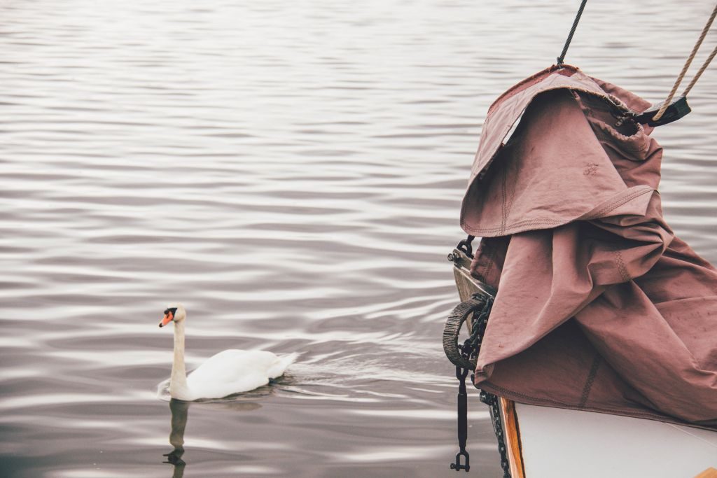 Mit dem Zeesenboot über das Achterwasser