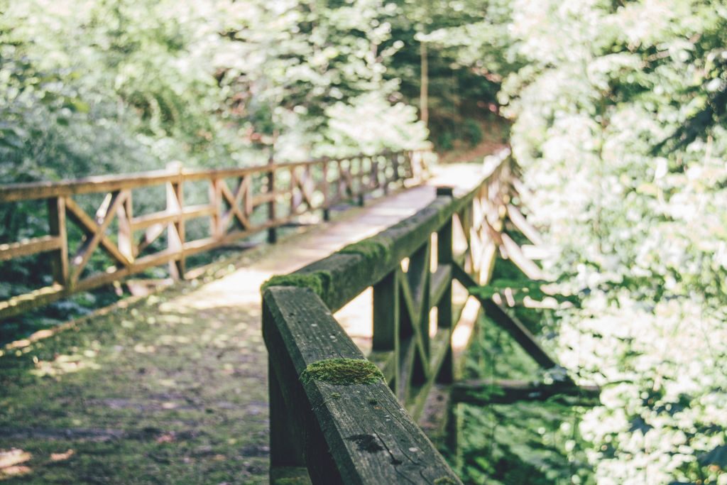 Waldbaden im Schwarzwald