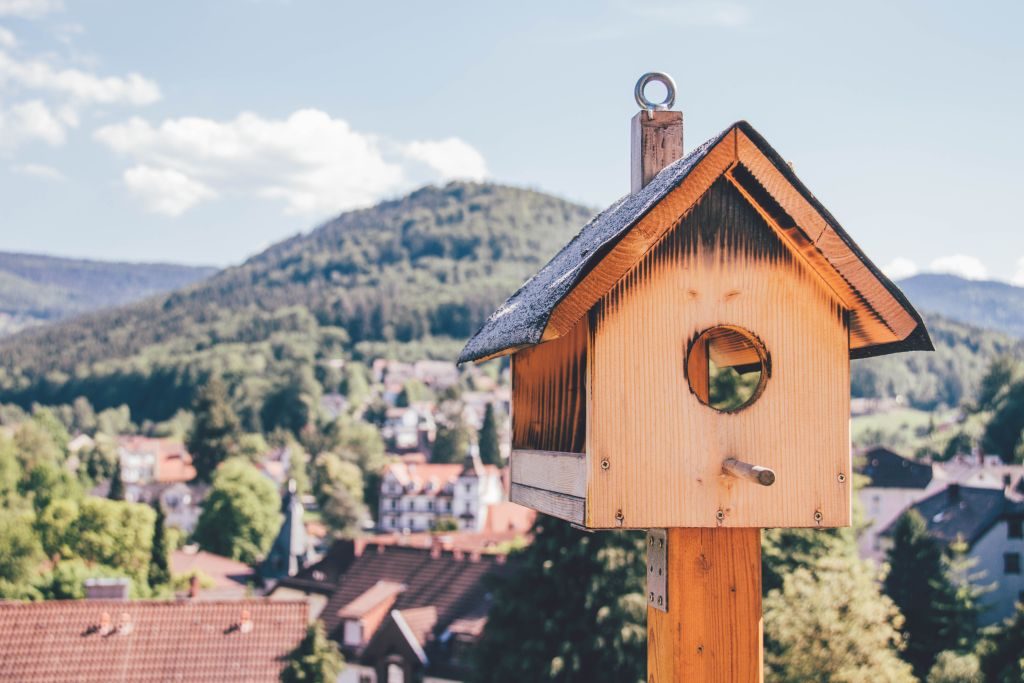 Vogelhaus im Schwarzwald