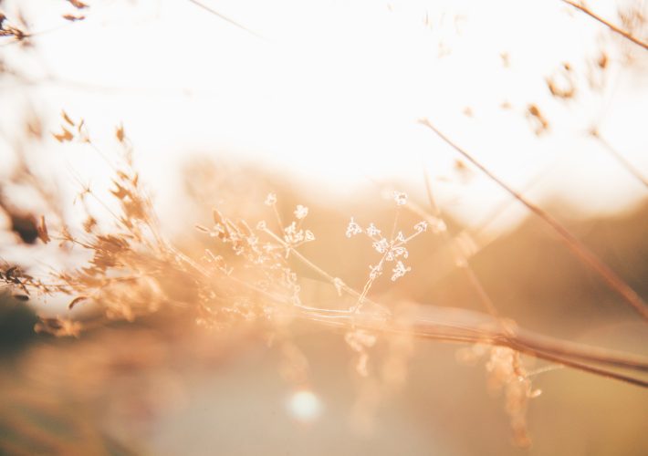 Itchy Feet Blog Spotify Playlist Midsommar Tunes