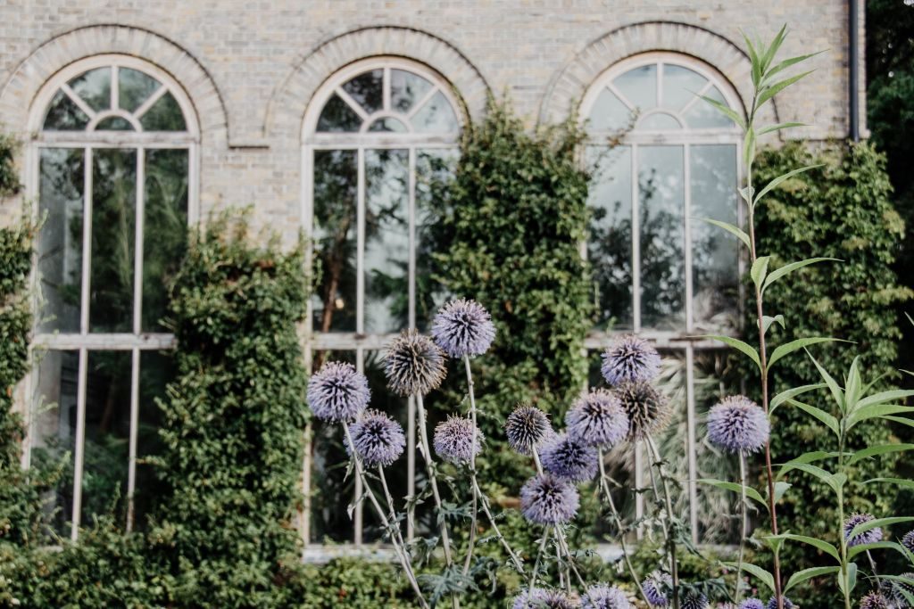 Blumen im Botanischen Garten in Lund