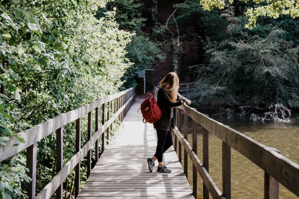 Wandern auf den Bohlenwegen des Söderåsen Nationalparks