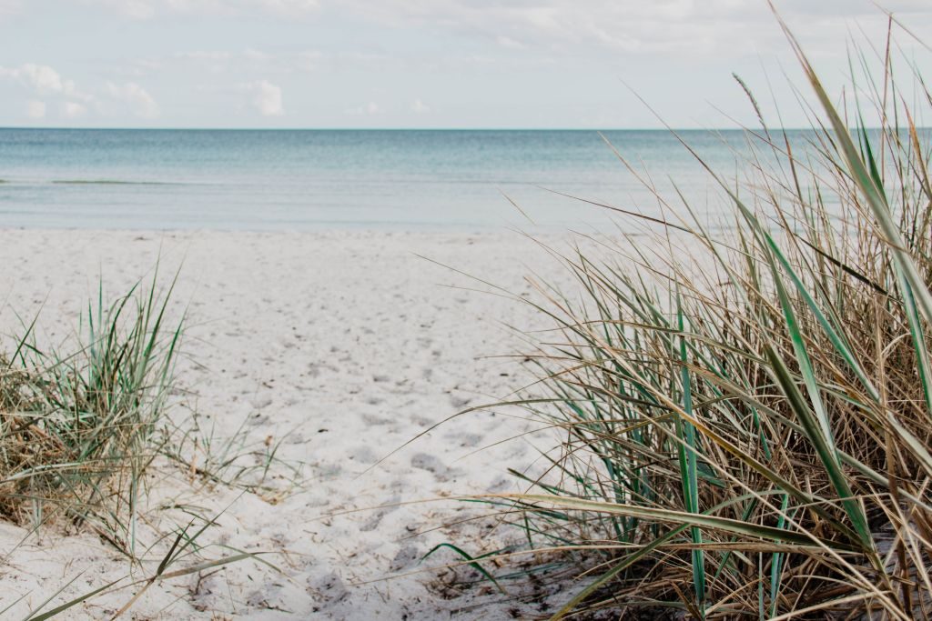 feiner Snadstrand in Falsterbo