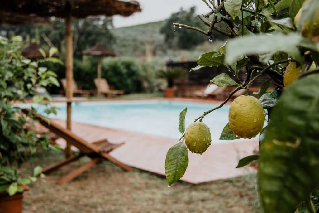 Agrivilla i pini Toskana Hotel