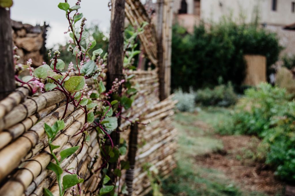 Agrivilla i pini Toskana Hotel