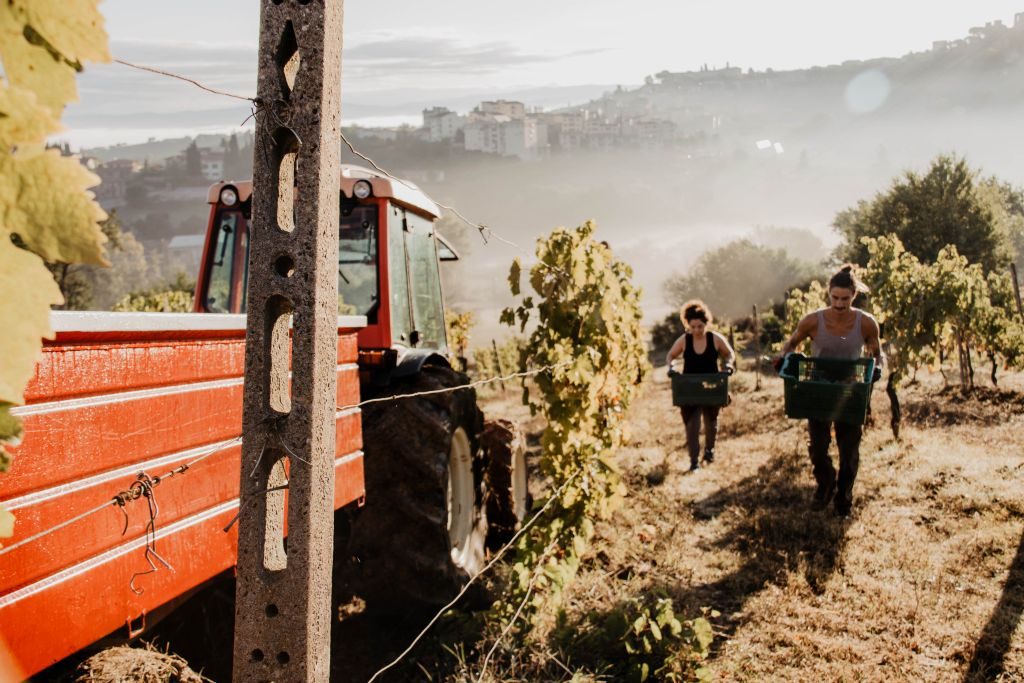 Agrivilla i pini Toskana Hotel