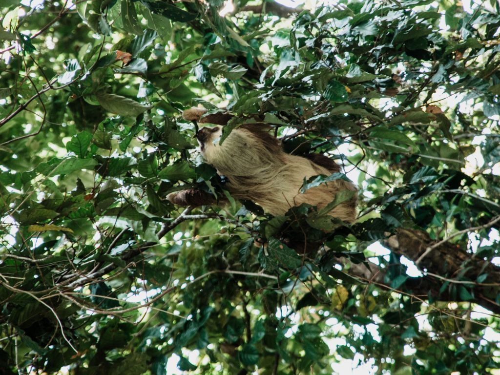 Urlaub 2020 Costa Rica