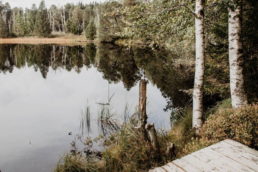Urlaub 2020 Schwarzwald