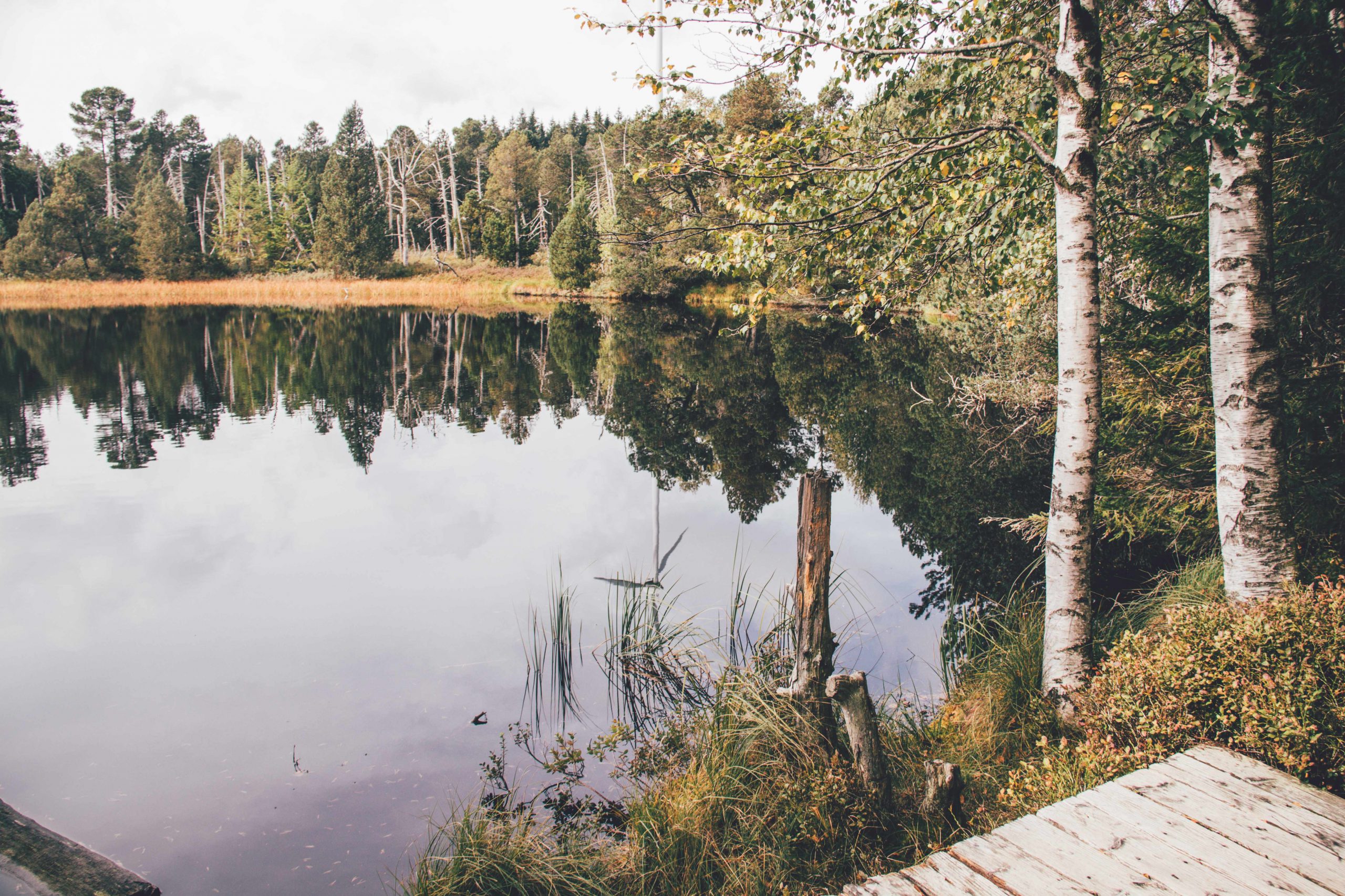 Schwarzwald Herbst