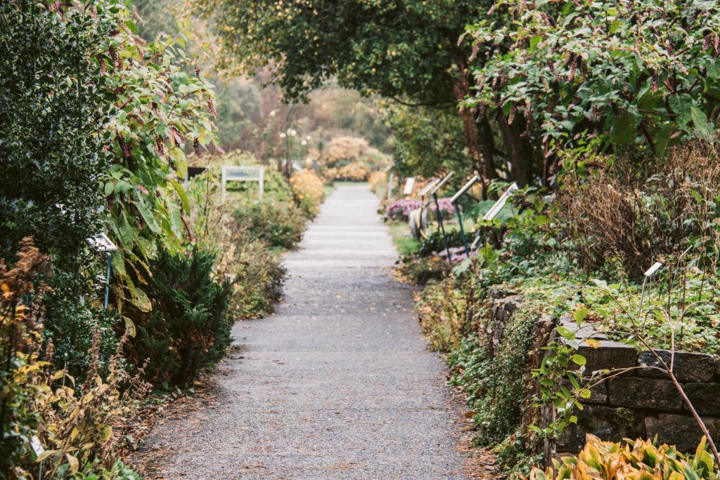 Außerhalb des Zentrums lädt der Neue Botanische Garten zum Lustwandeln ein.