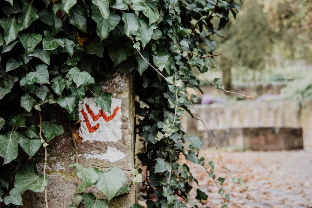Schöne, ausgeschilderte Wanderrouten führen durch und um Marburg.