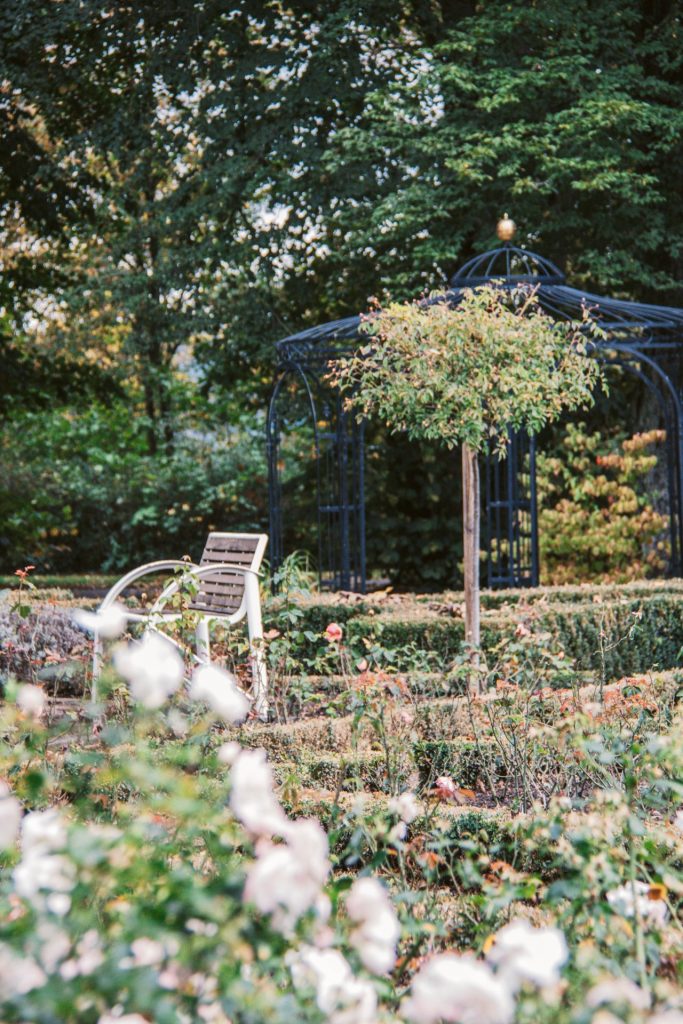 Ein Spaziergang durch den Schlosspark und den Rosenpark darf auch auch nicht fehlen.