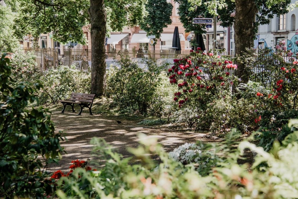 Bethmannpark in Frankfurt am Main