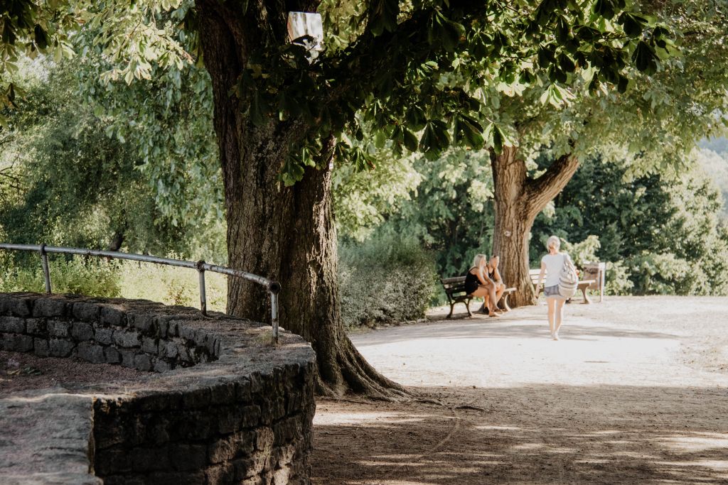 Lohrpark in Frankfurt am Main