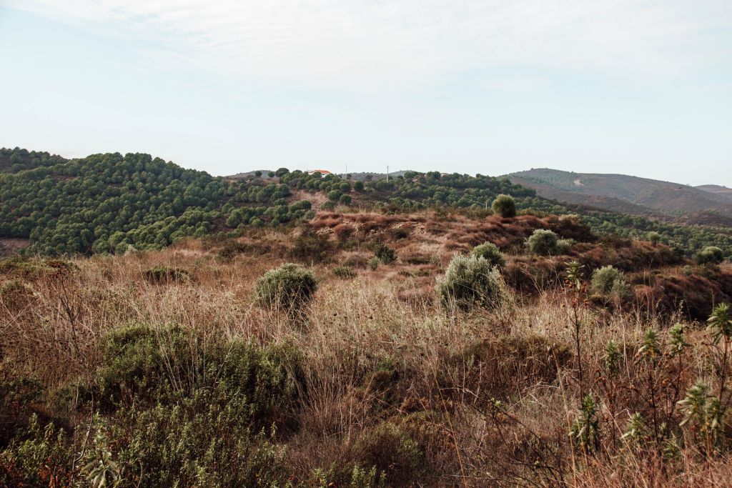 Hinterland in der Ost-Algarve