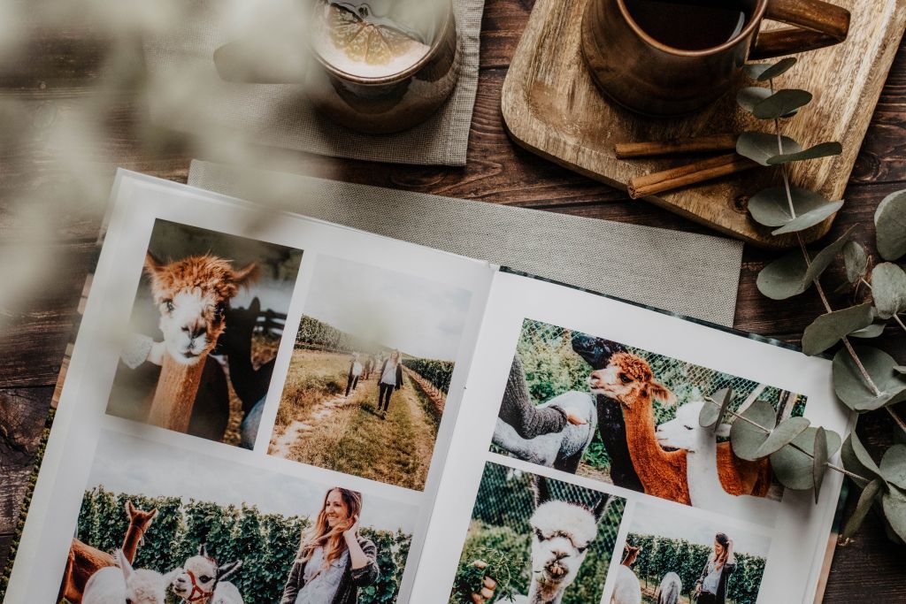 Fotobuch gestalten Tipps