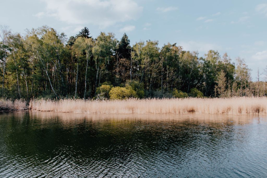 Hausboot Urlaub auf der Mecklenburgischen Seenplatte