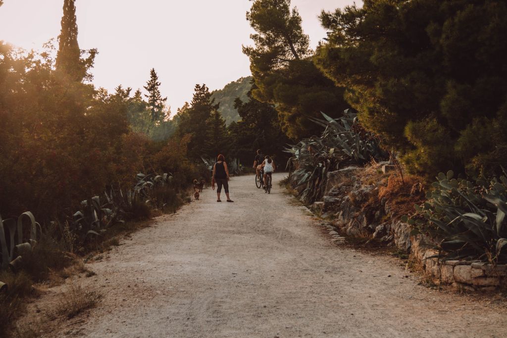 Split Park