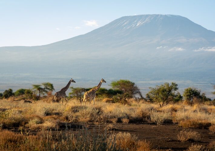 Kenia Nationalparks