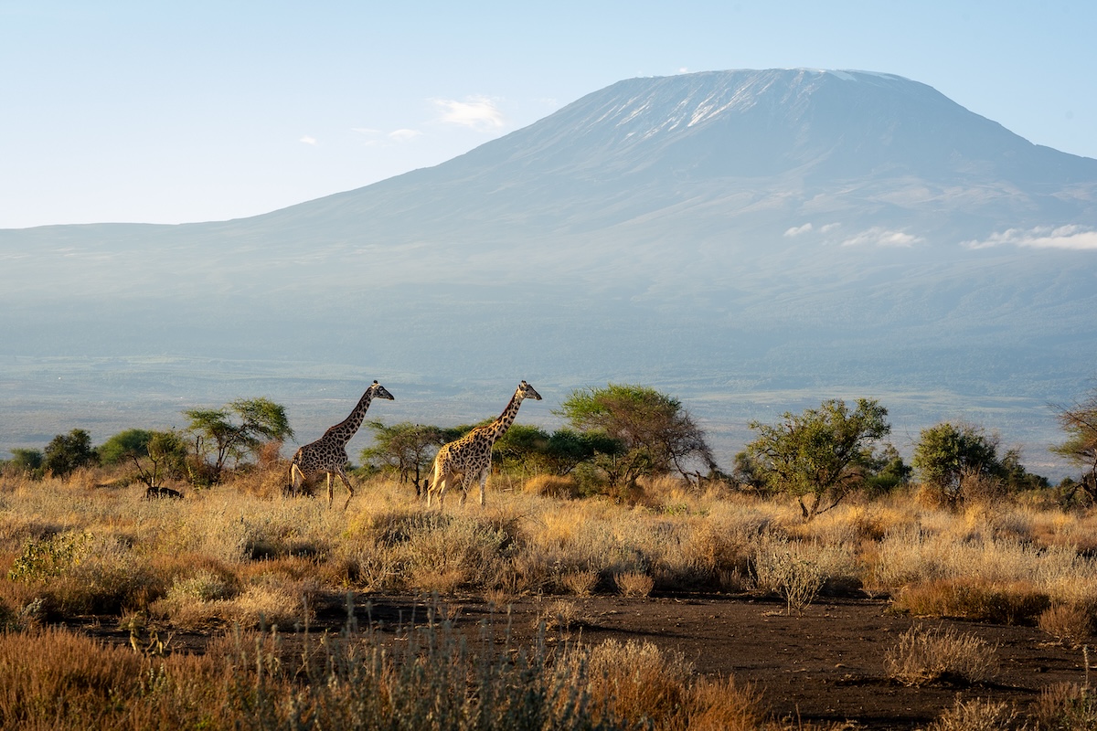 Kenia Nationalparks